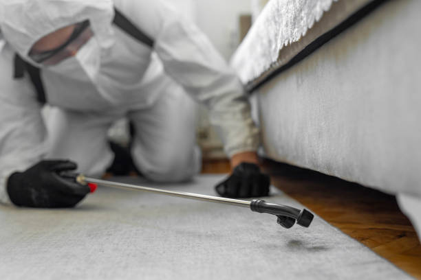 Professional Termite Control technician working in Penhook, VA